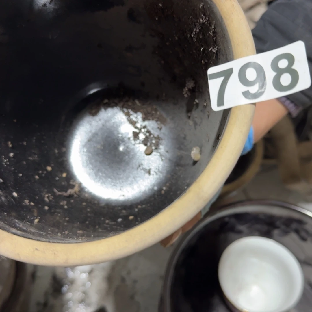 粤***粤茶盏他还没有走出自己内心