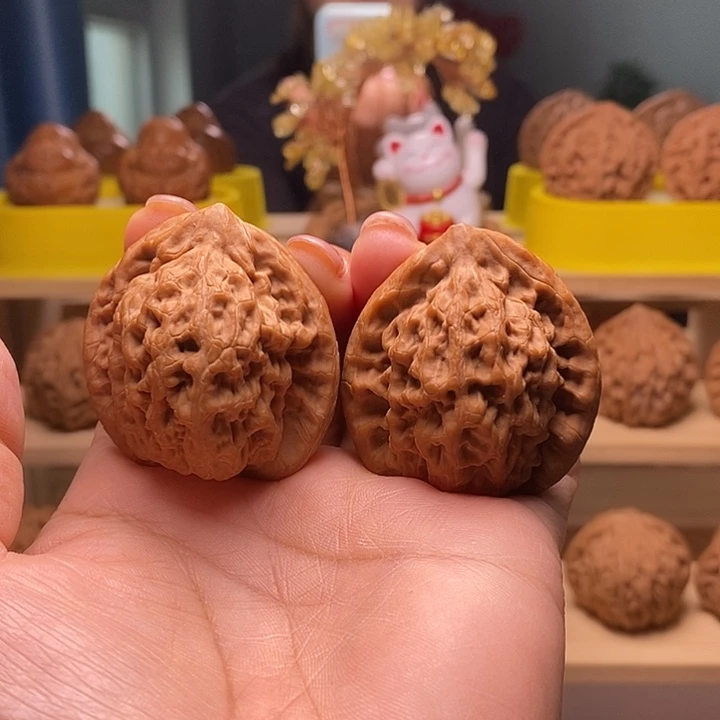 41+尺寸的金公子核桃