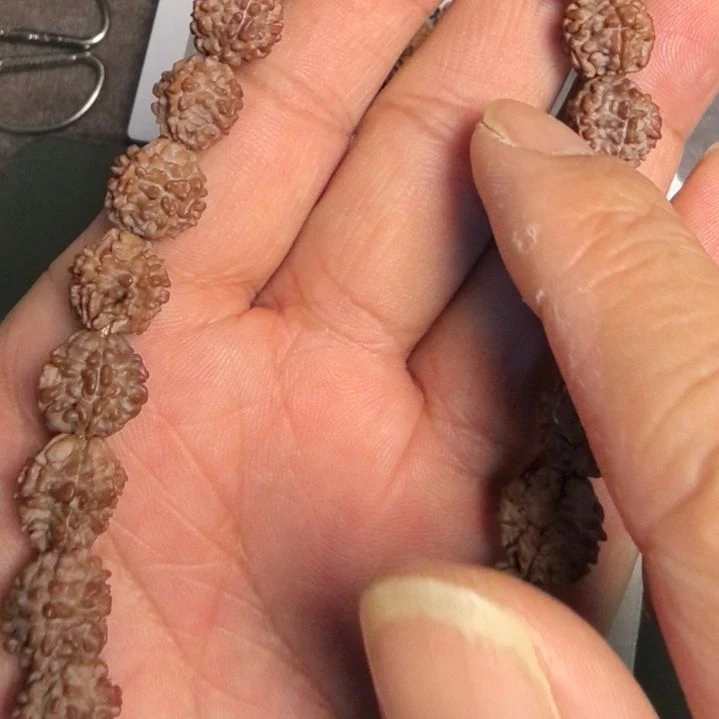 把件金刚菩提龙骨梅花大金刚手持，12左右尺寸，精挑细选
