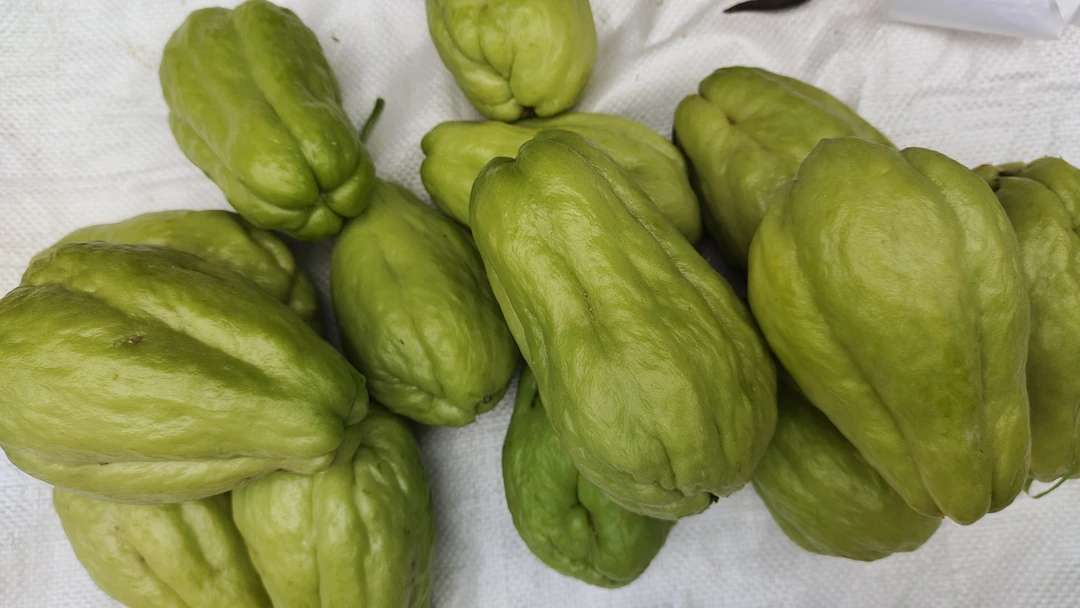 贵州本地新鲜佛手瓜清甜多汁薄皮蔬菜煲汤佳品