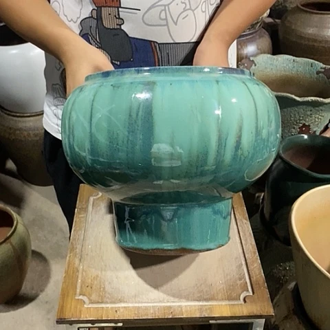 口24高度25绿色8888
