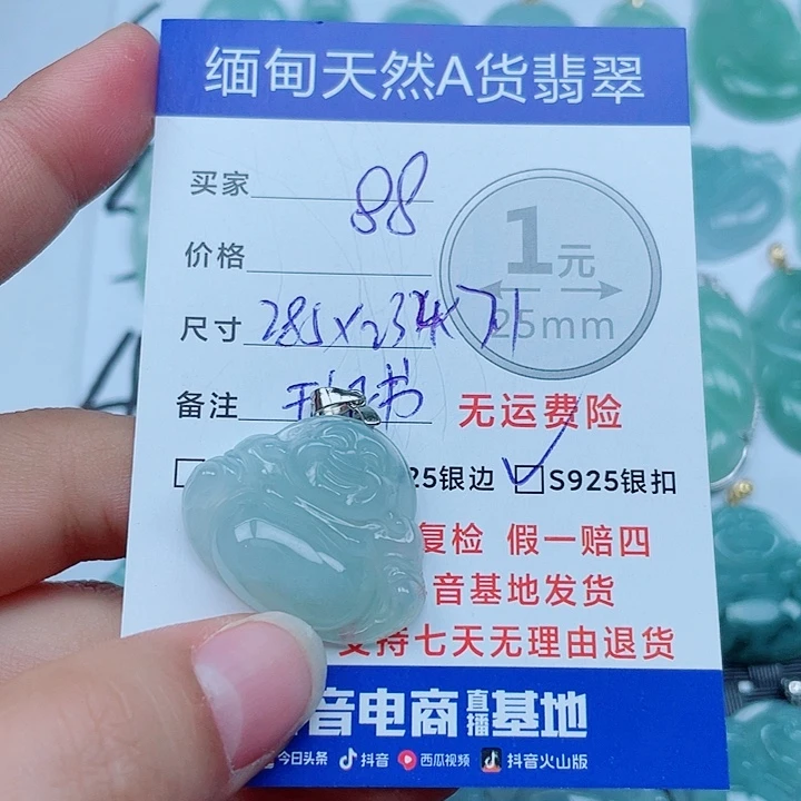 翡翠银S925镶嵌颈饰翡翠