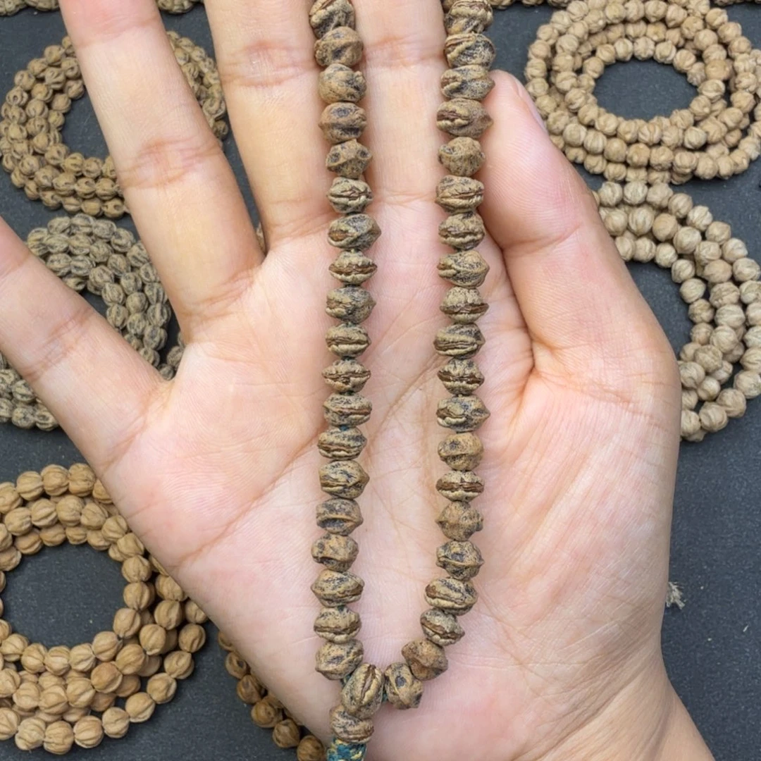 手串柏香籽/百香籽食人花 红牙横打