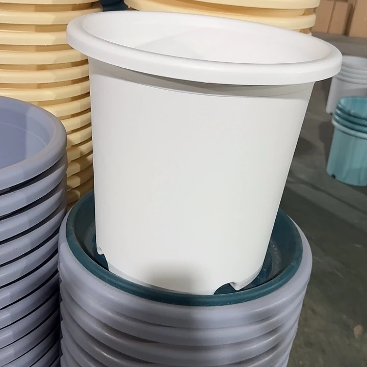 四季8#口径40白色5个无托