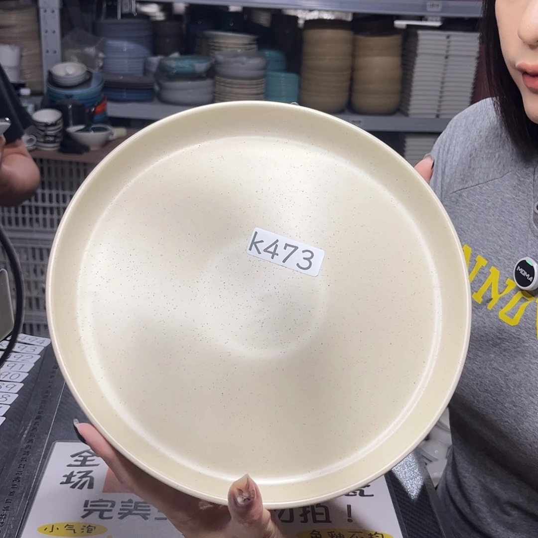 瓷片473              2个