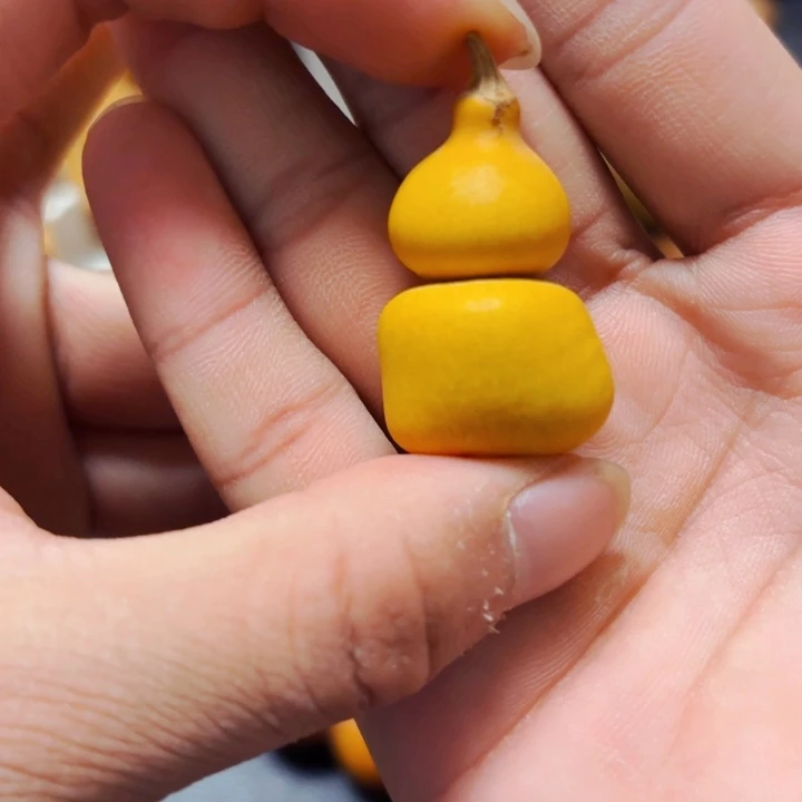 随****行8888999998888888888888