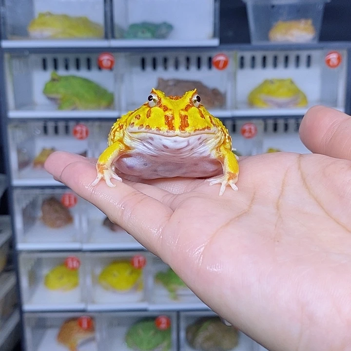 特价秒杀现货特价残
