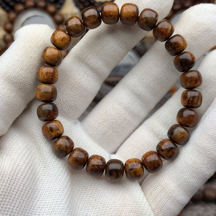 贡木巴布亚7/8单圈……