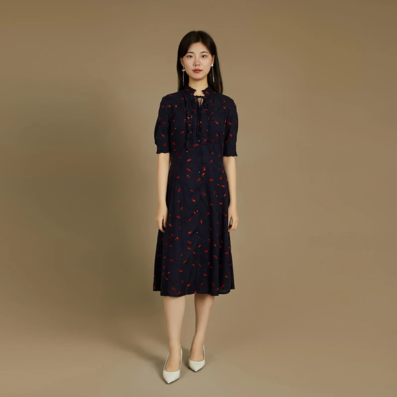 菲姿FEIZI夏季连衣裙9B412 梦里探花（蓝）