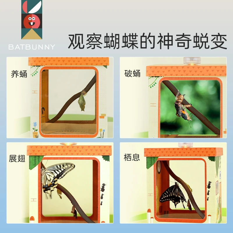 蝴蝶盒子破茧成蝶蝴蝶观察盒子儿童自然科学实验套装工具益智玩具