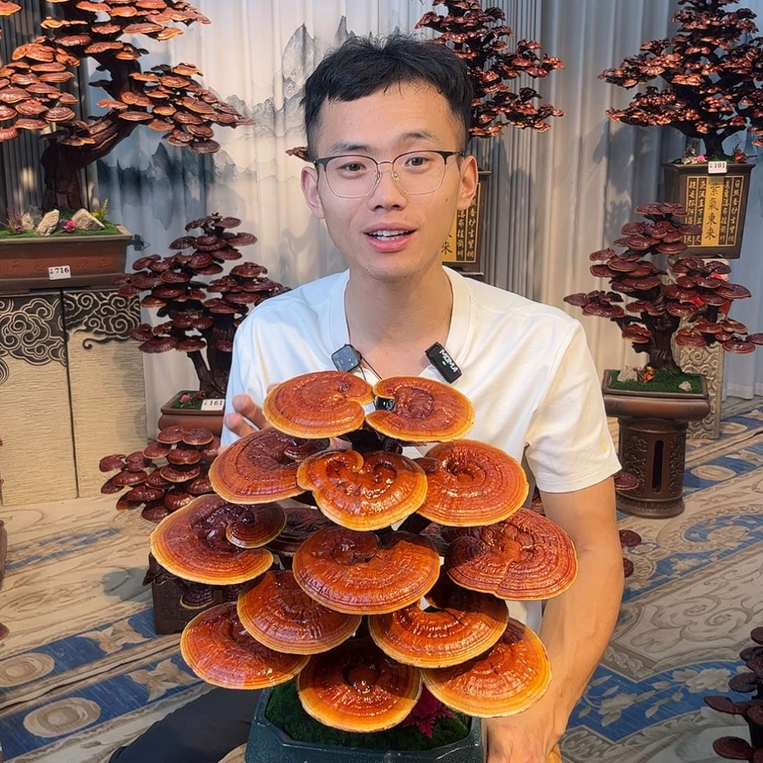 无花朵8888888888