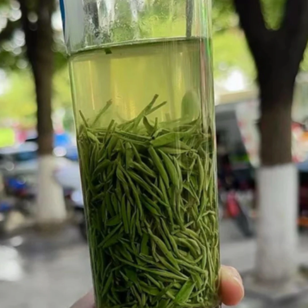 2025新茶浓香春芽毛尖(288)