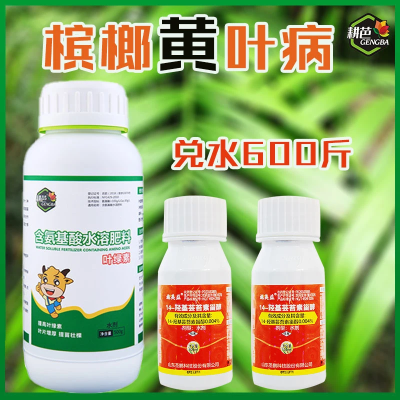耕芭槟榔黄化黄一喷绿促长增产小叶黄化快速返青槟榔专用套餐叶肥