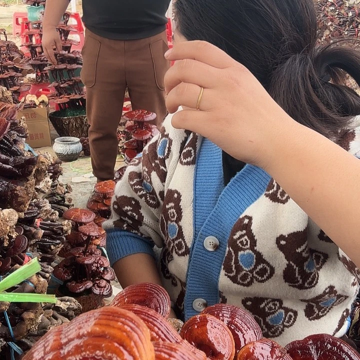 无花朵蓝***泪灵芝花开了