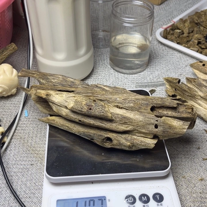 沉香沉香碎屑虫漏