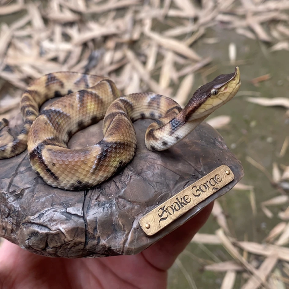 【消费级】 五步蛇模型 收藏品