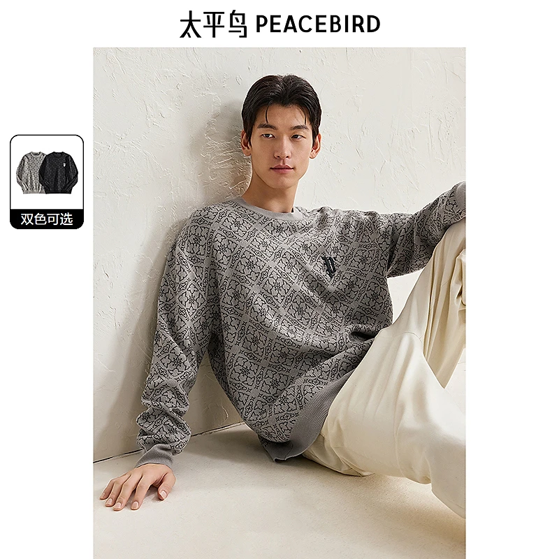 太平鸟男装 春季满版提花斯文毛衣刺绣宽松毛衫男BWEBD4194