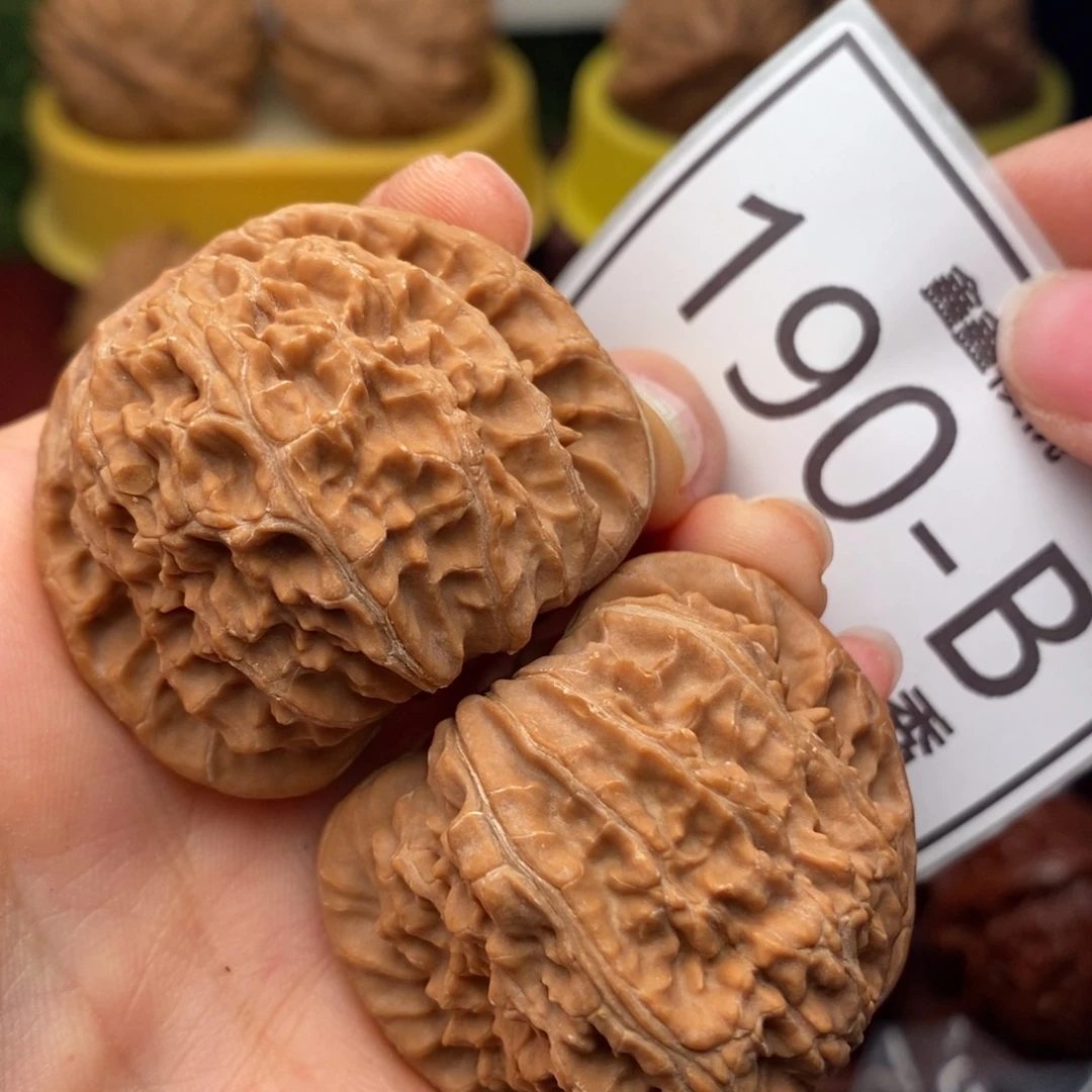 文玩核桃把件白狮子41……