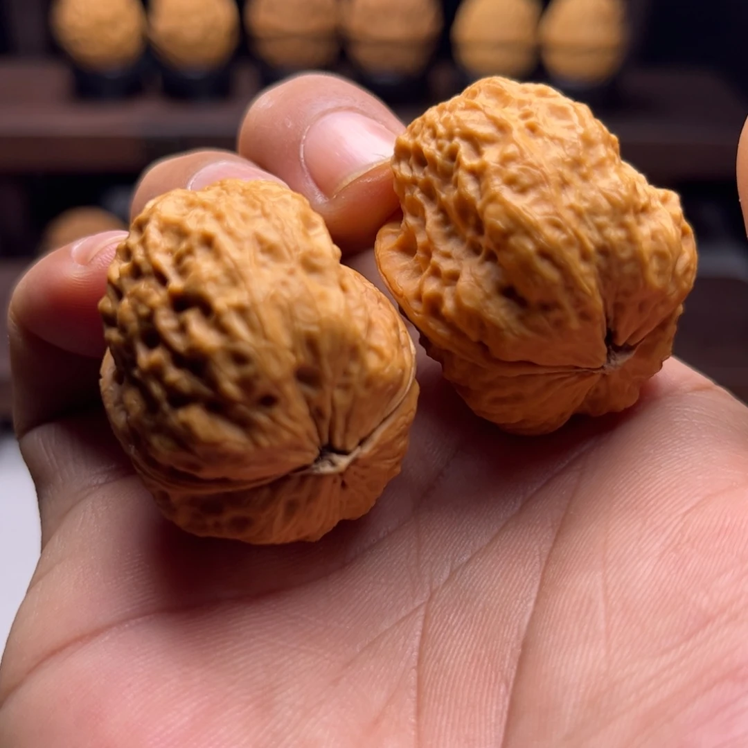 把件文玩核桃龙脊妖蟾