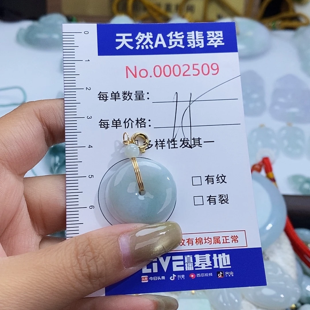 翡翠未镶嵌颈饰2509