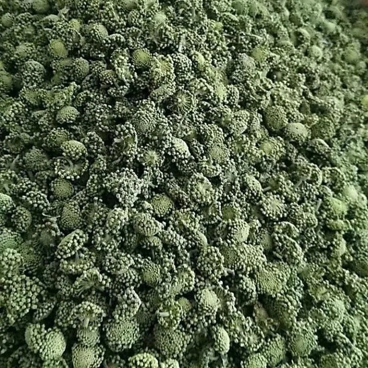 云南文山三年三七花