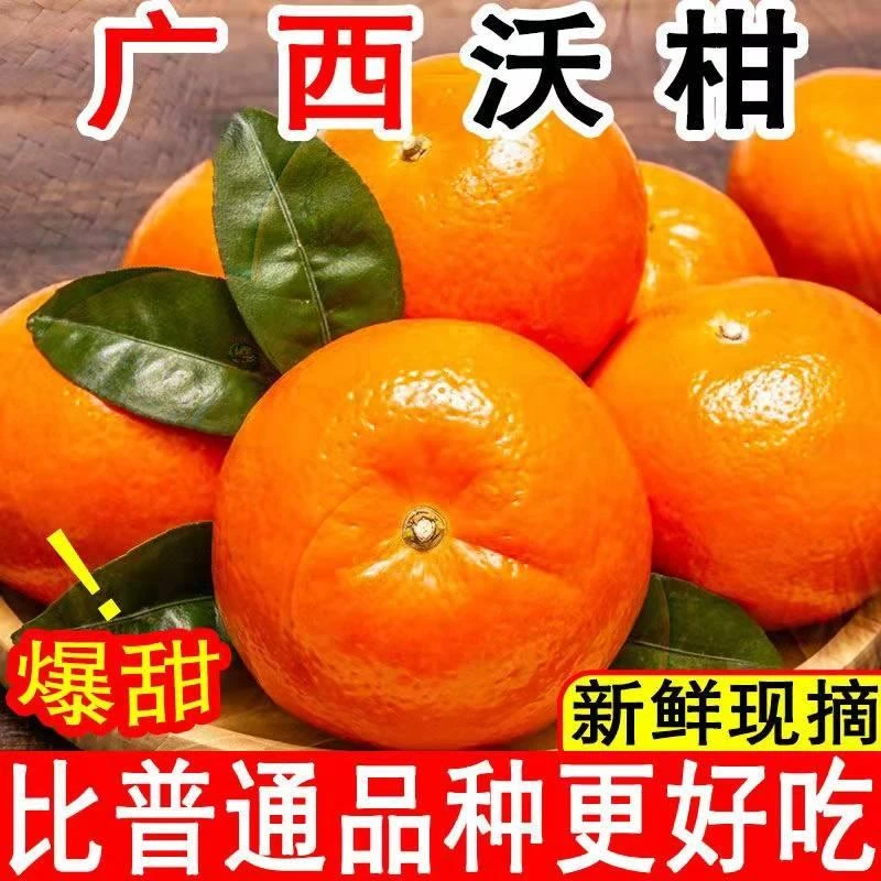 广西武鸣沃柑当季新鲜水果纯甜一级柑橘整箱蜜桔