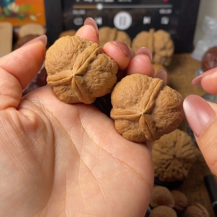 猫***呀如图所示一物一拍119