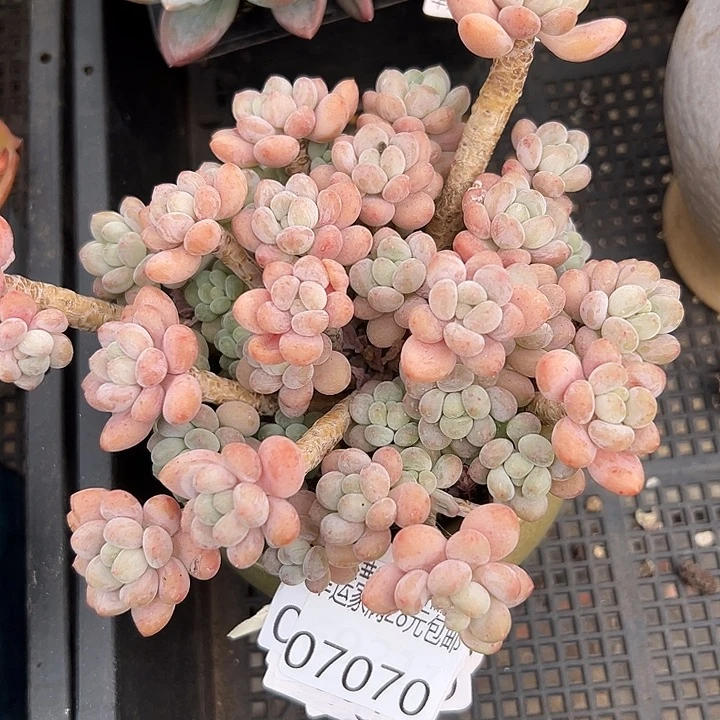 幸运的是我没有遇到过这么