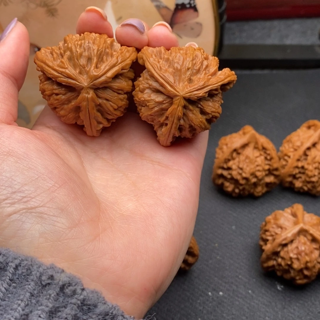 无*态白狮子1111111111