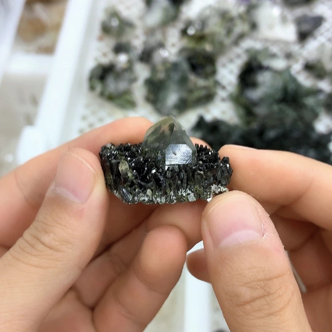 有机玻璃绝美花园
