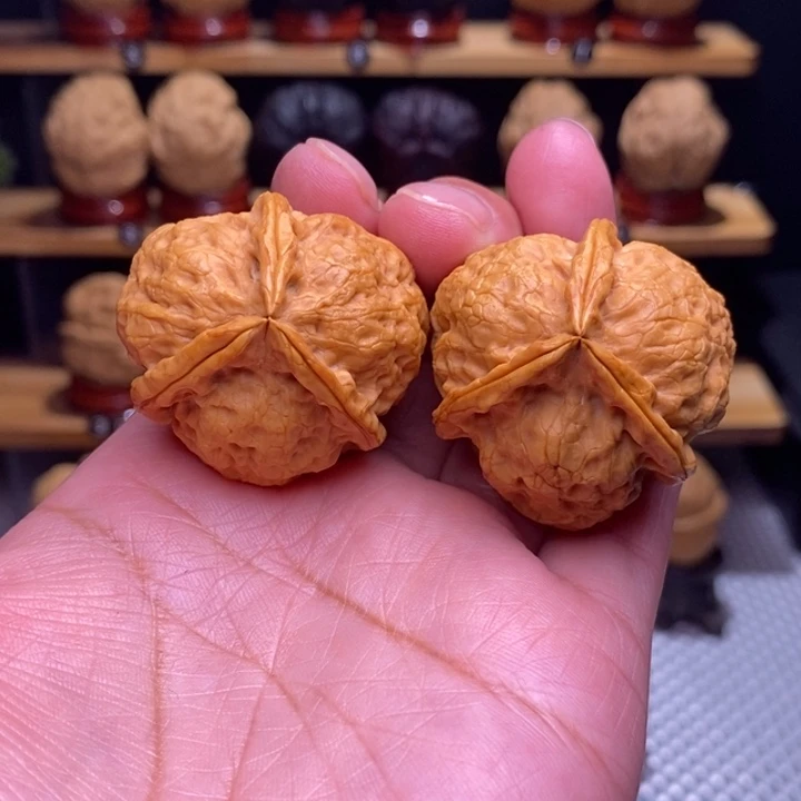木质类云铁紫蛹三棱70号