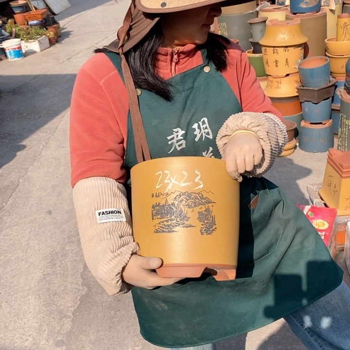 紫砂花盆盆栽花卉苗木种植
