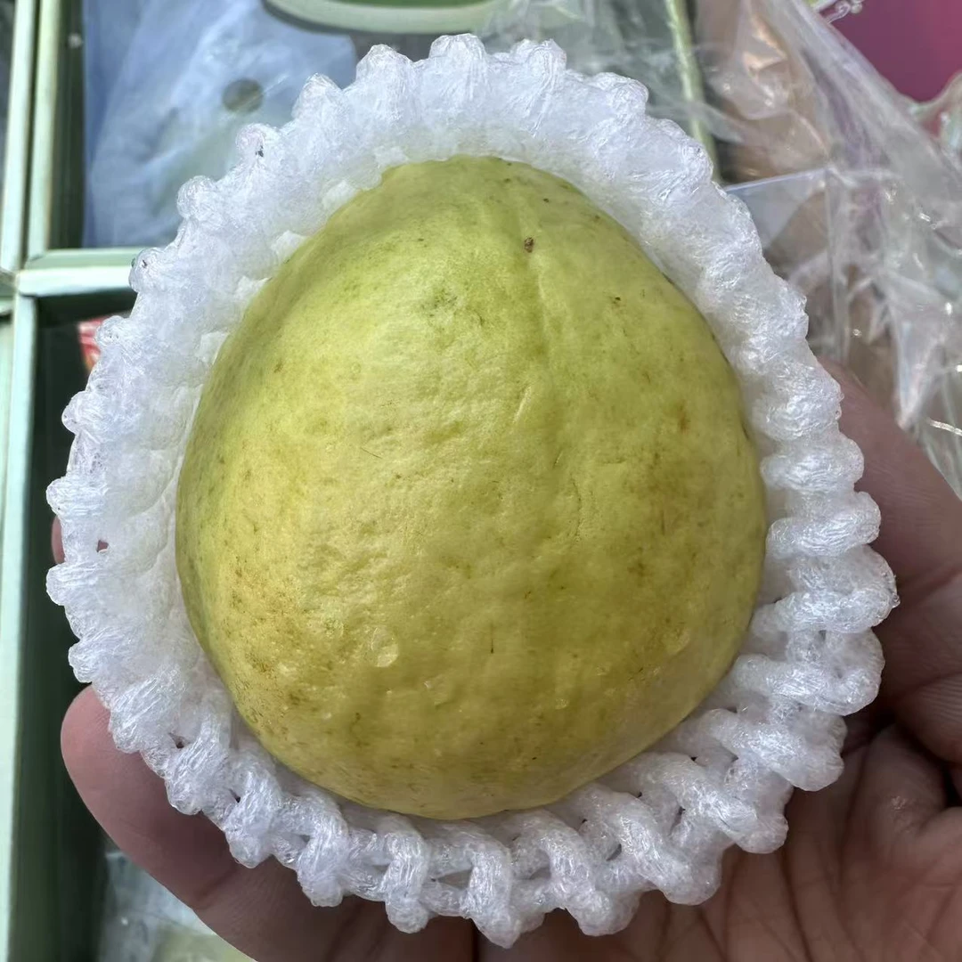 {顺丰次日达｝奶油芭乐礼盒装广西壮族自治区