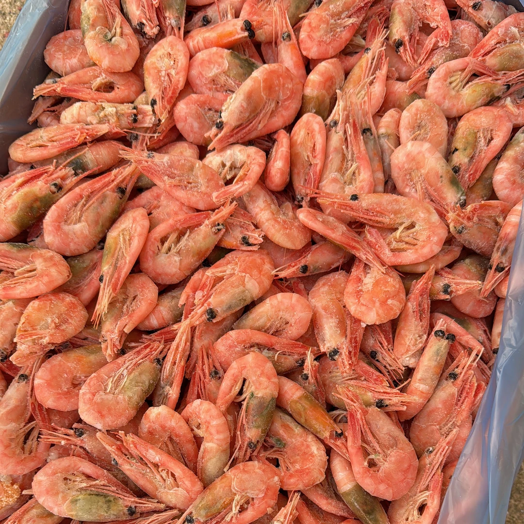 北极虾   有部分青黑头 北极甜虾只发辽宁省内