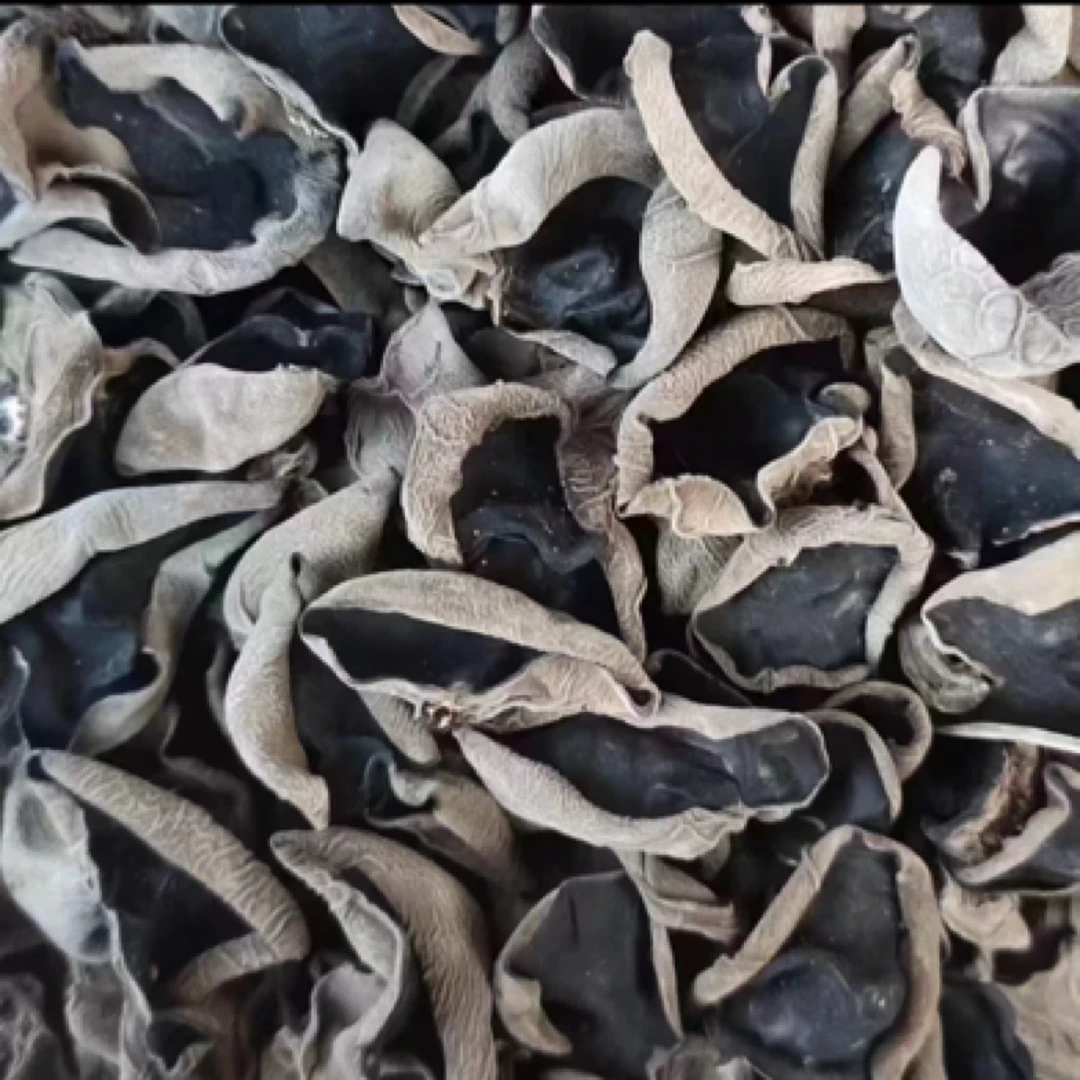 【小雨专属】农家 自制 黑木耳