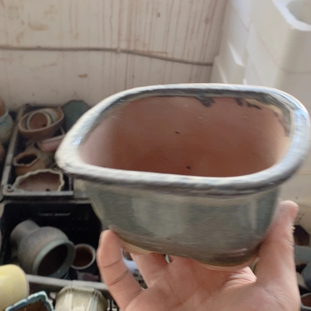 红陶1111111111111111111111