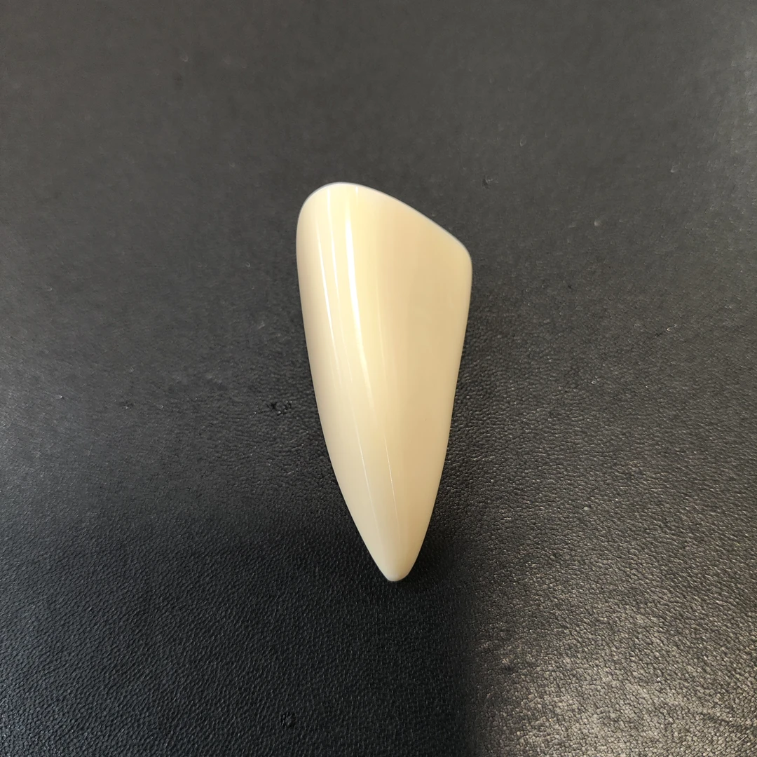 猛犸嘴吊坠约14.2克链接H173