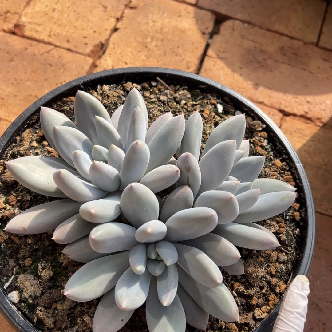 112611111111111111111111