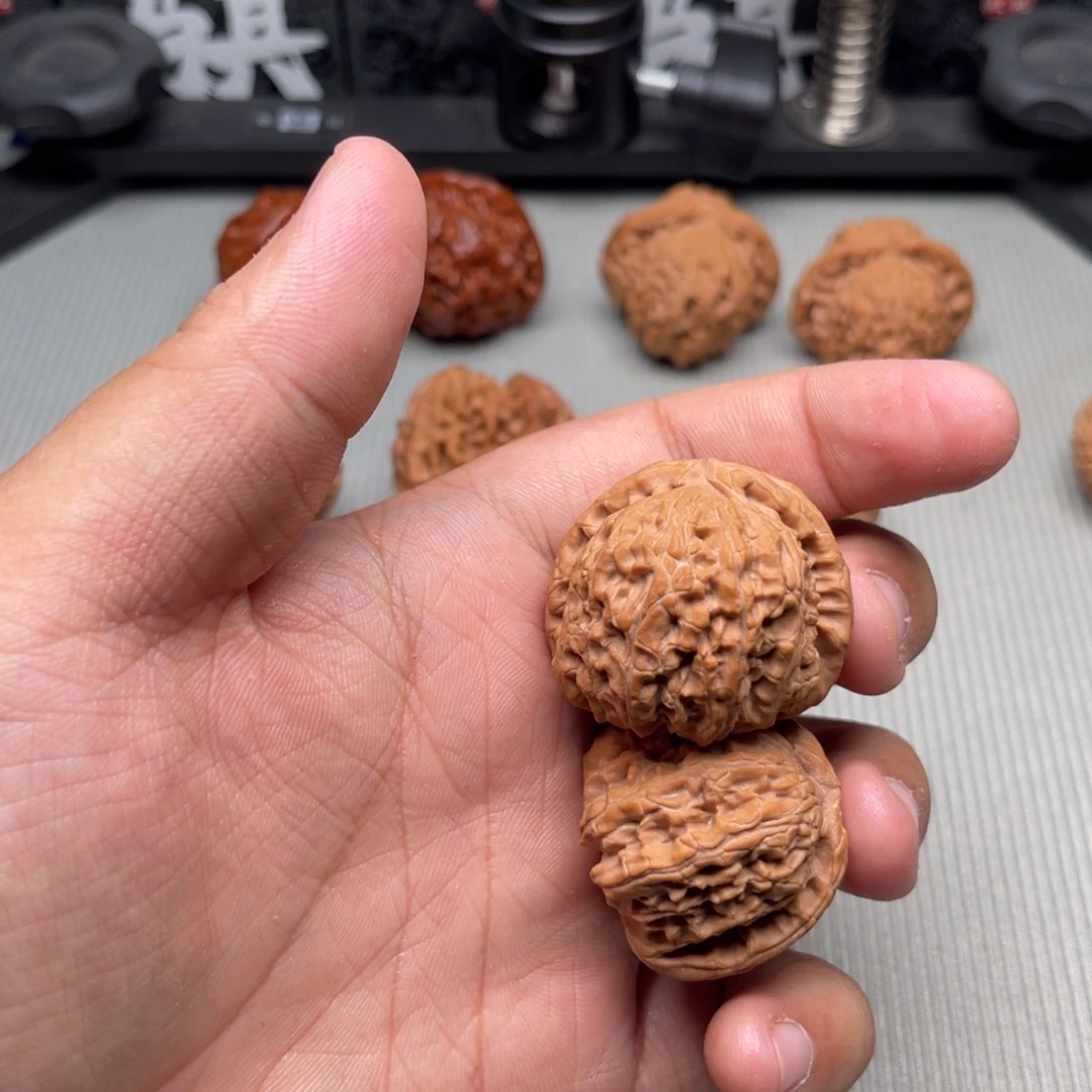 哈哈哈哈哈哈哈哈哈哈哈哈