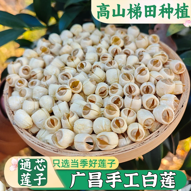 【农家去芯手工莲子】新货广昌莲子干货无硫土白莲粉糯煮汤煲粥500g