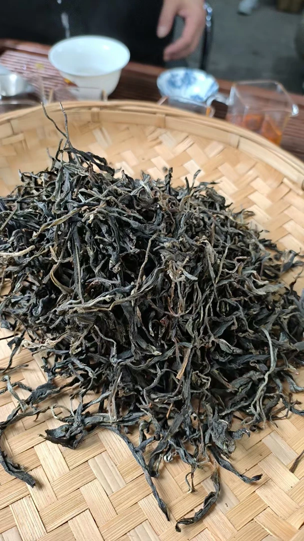 邦丙梨果树四组22号 2023年岔箐树生茶散