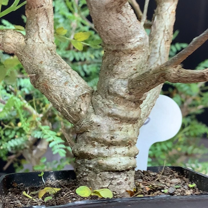 海***哥536尼勒达哈哈哈哈哈哈