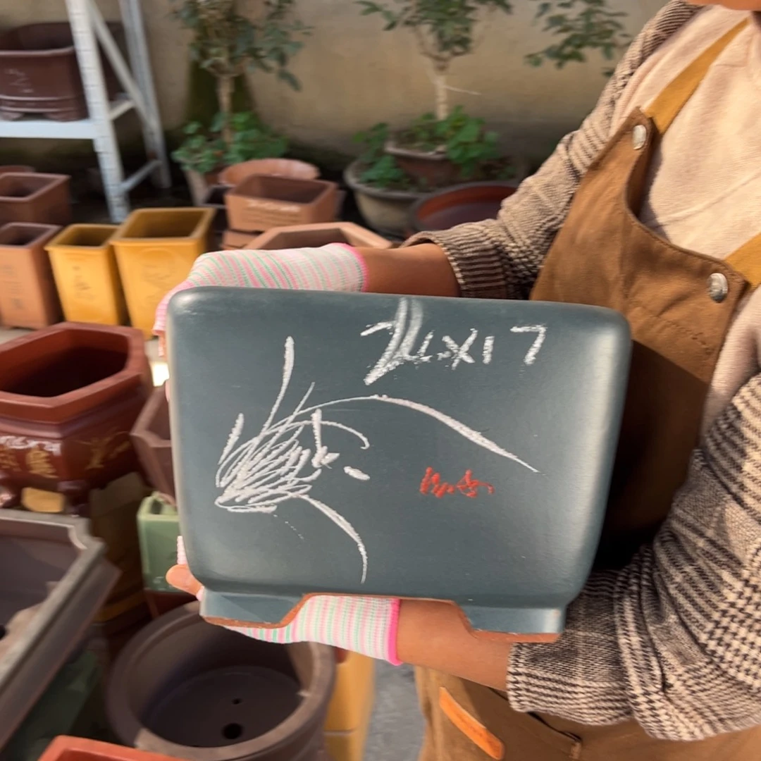 花盆紫砂盆景艺术