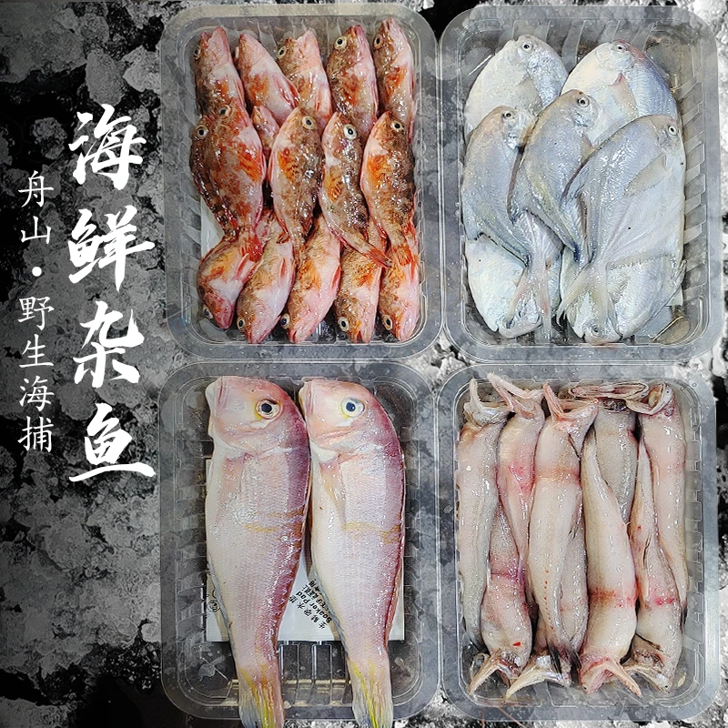 纯野生海杂鱼新鲜深海鱼大杂烩海鲜水产小黄鱼鲳鱼包邮