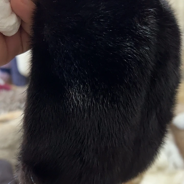 帽子帽子帽子帽子