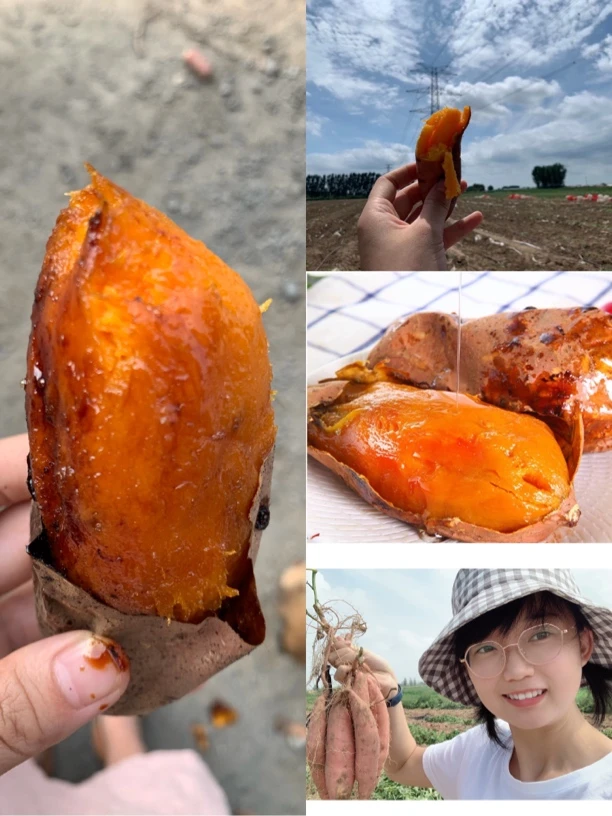正宗烟薯25软糯香甜新鲜现挖糖心流油烤红薯