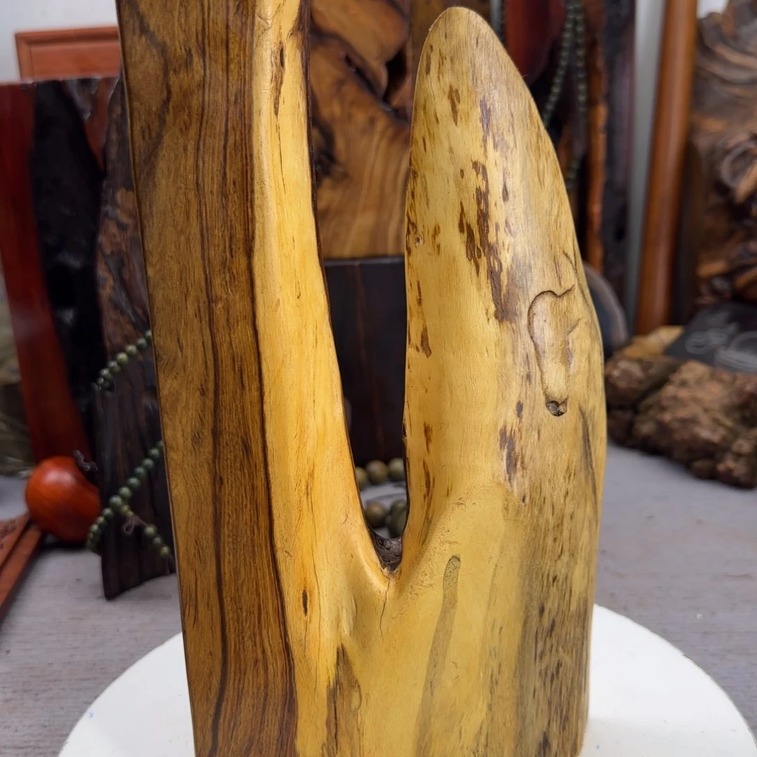 大果紫檀（缅甸花梨）月**头