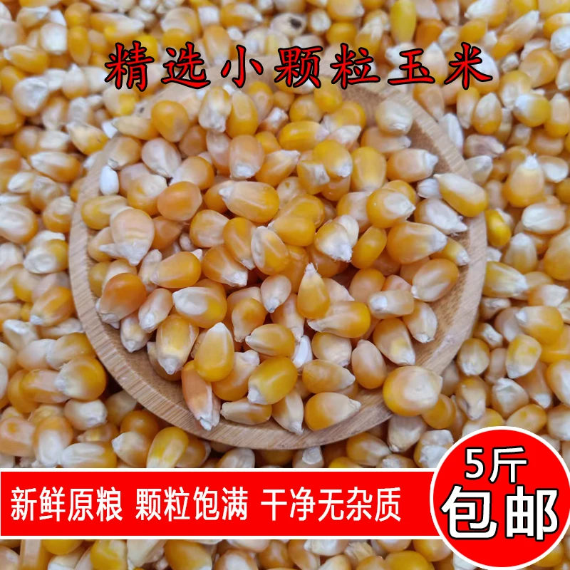 金冠鸽粮精品小颗粒玉米5斤装
