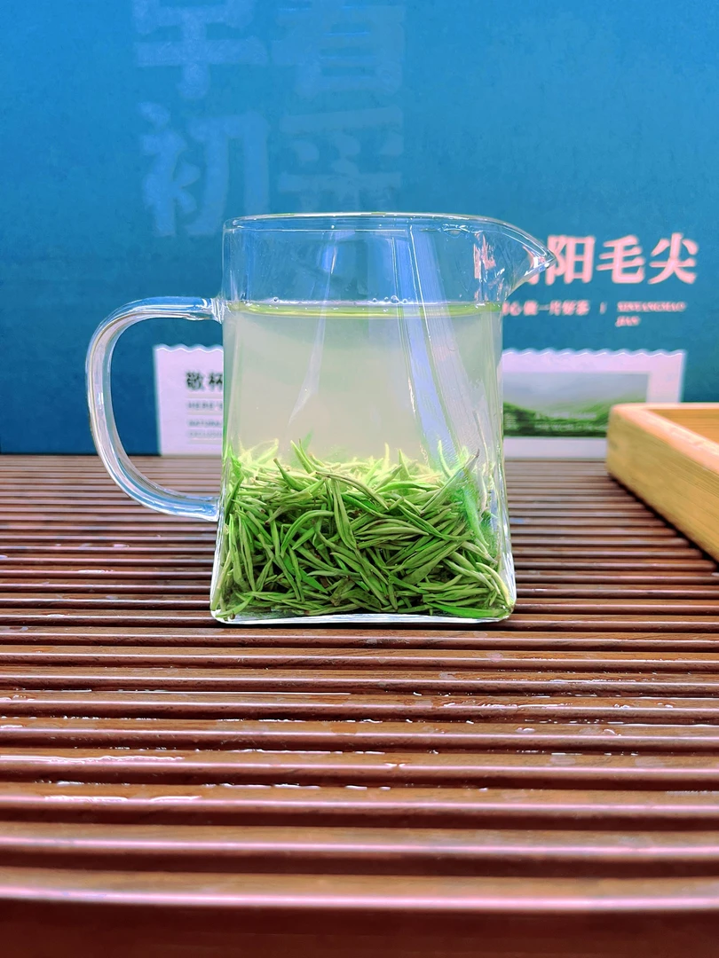 4号信阳毛尖明前小芽春茶绿茶鲜香甘甜清香花果香