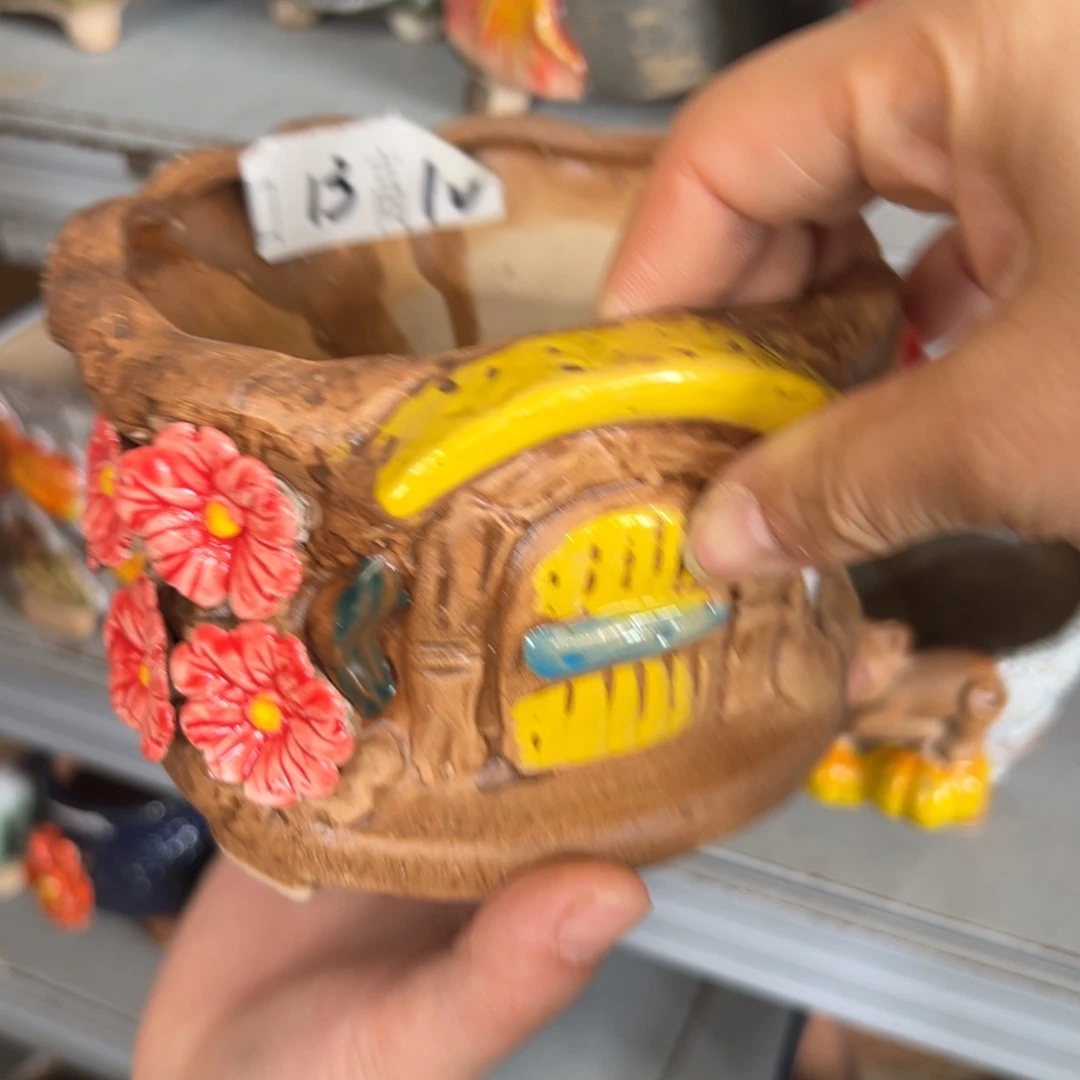 花盆，拍满20发货，退款拉黑